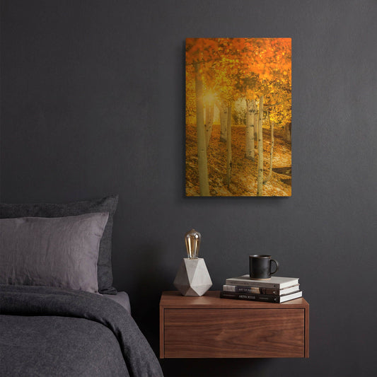 'Aspen Glow' By Jonathan Ross Gold Metal Wall Art