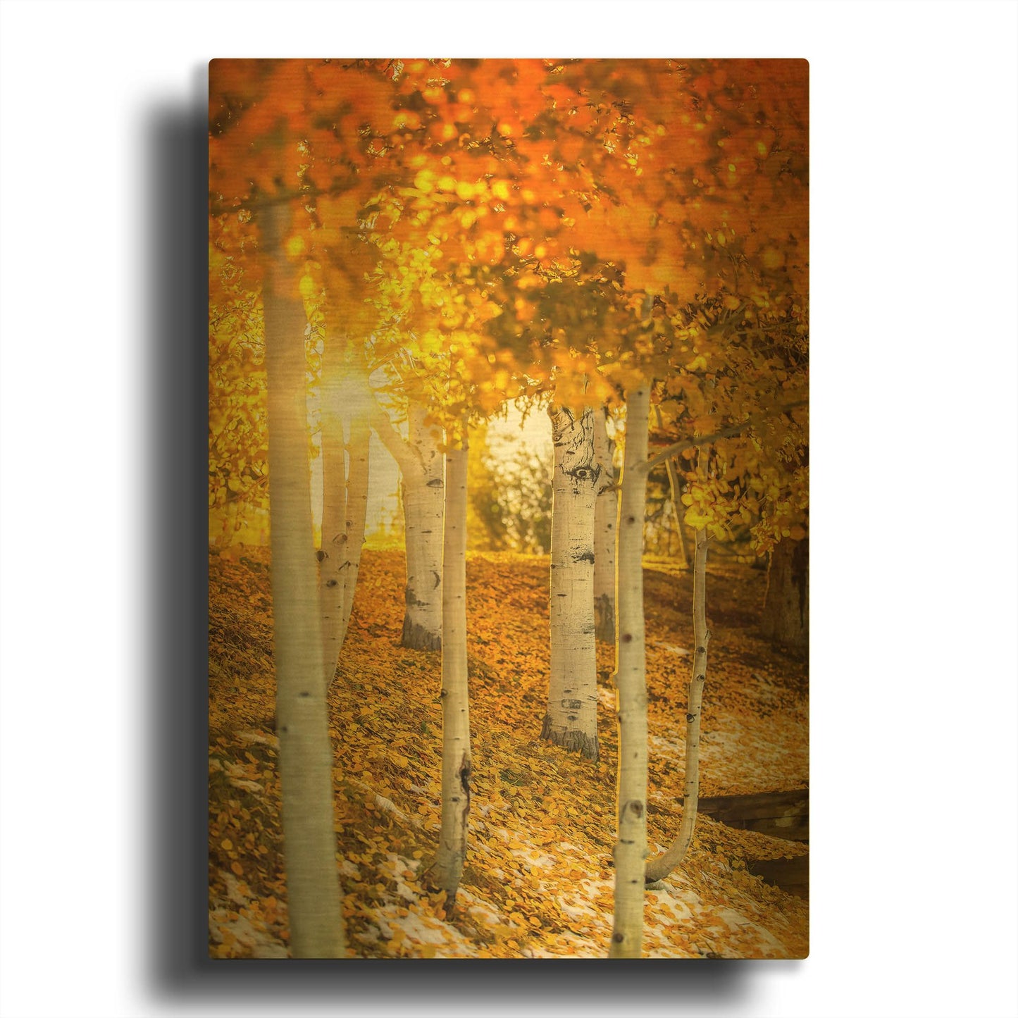 'Aspen Glow' By Jonathan Ross Gold Metal Wall Art
