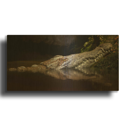 'Crocodile Smile' By Jonathan Ross Gold Metal Wall Art