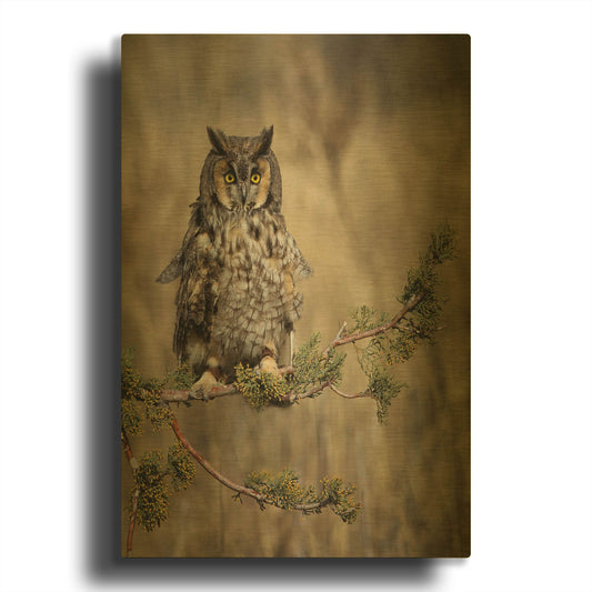 'Hanging Out' By Jonathan Ross Gold Metal Wall Art