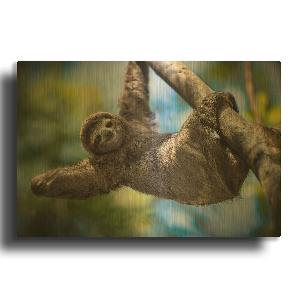 'Just Hanging Around' By Jonathan Ross Gold Metal Wall Art