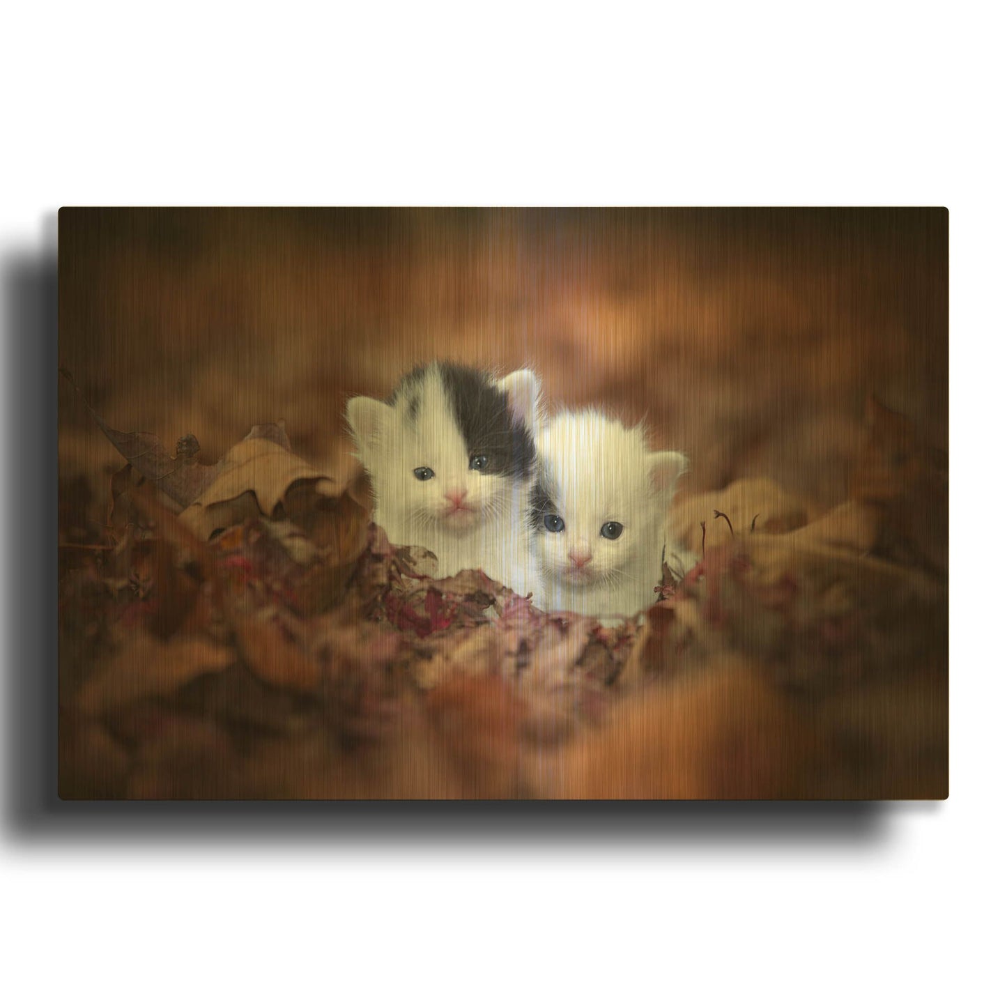 'Kitten Twins' By Jonathan Ross Gold Metal Wall Art