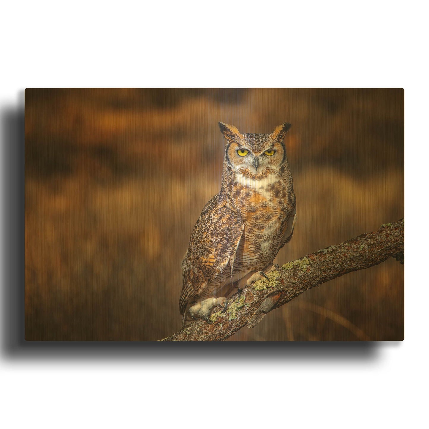 'Look Who' By Jonathan Ross Gold Metal Wall Art
