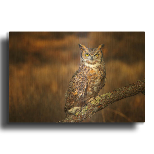 'Look Who' By Jonathan Ross Gold Metal Wall Art