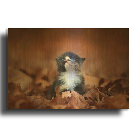 'Looking For An Answer' By Jonathan Ross Gold Metal Wall Art