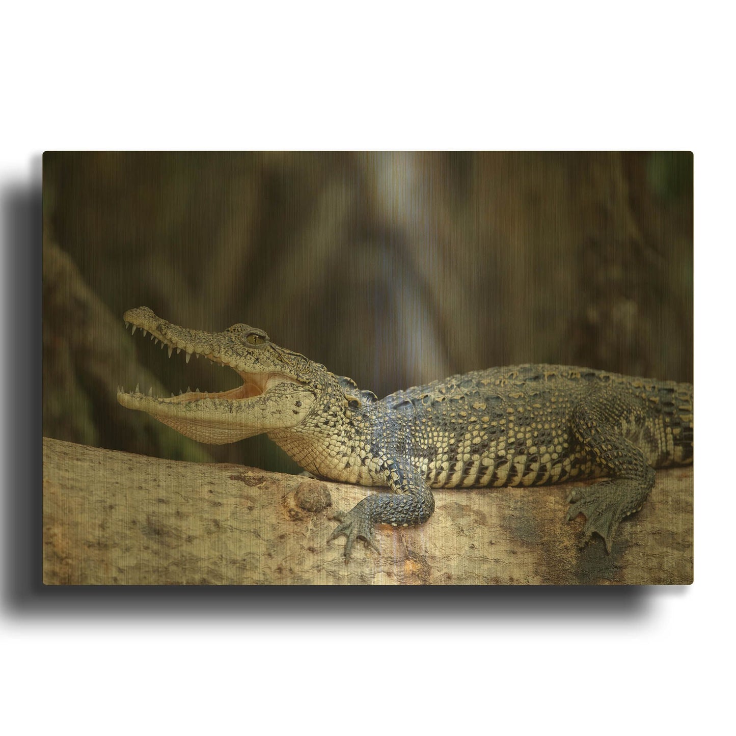'Ready To Snap' By Jonathan Ross Gold Metal Wall Art
