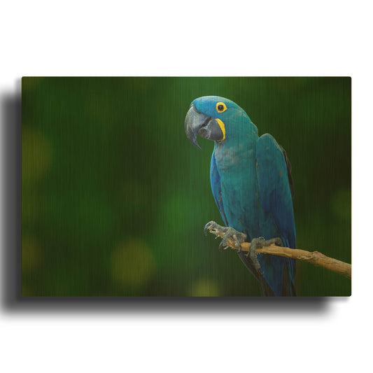'Standing Alone' By Jonathan Ross Gold Metal Wall Art