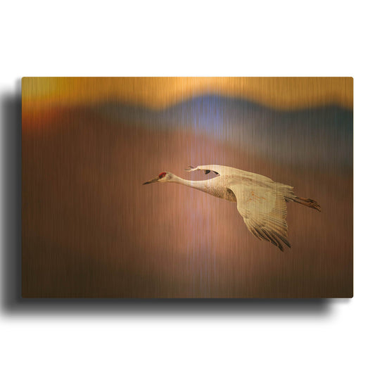 'Sunset Flight' By Jonathan Ross Gold Metal Wall Art