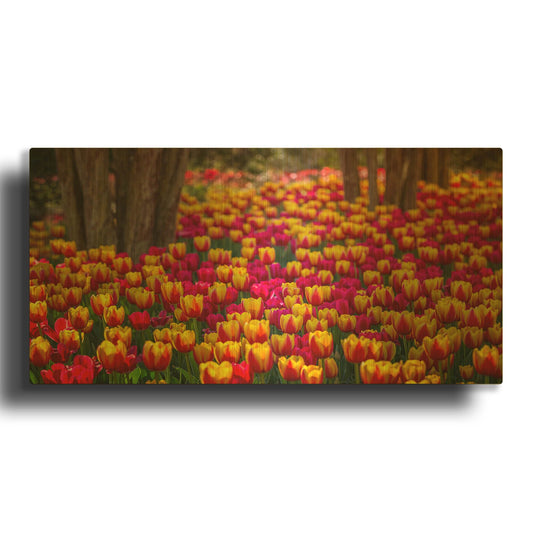 'Tulip Sea' By Jonathan Ross Gold Metal Wall Art