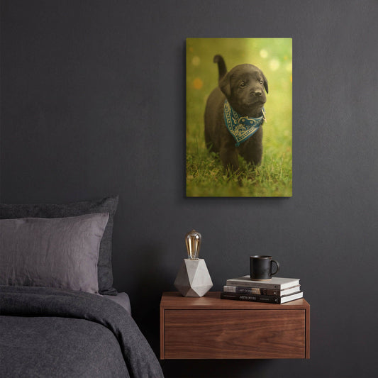 'Black Lab Pup 1' By Jonathan Ross Gold Metal Wall Art