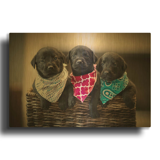 'Black Lab Pups 2' By Jonathan Ross Gold Metal Wall Art