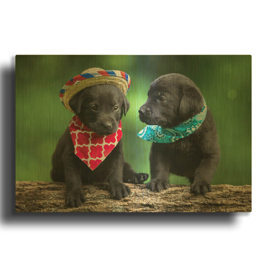 'Black Lab Pups 5' By Jonathan Ross Gold Metal Wall Art