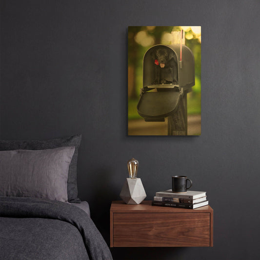 'Black Lab Special Delivery' By Jonathan Ross Gold Metal Wall Art
