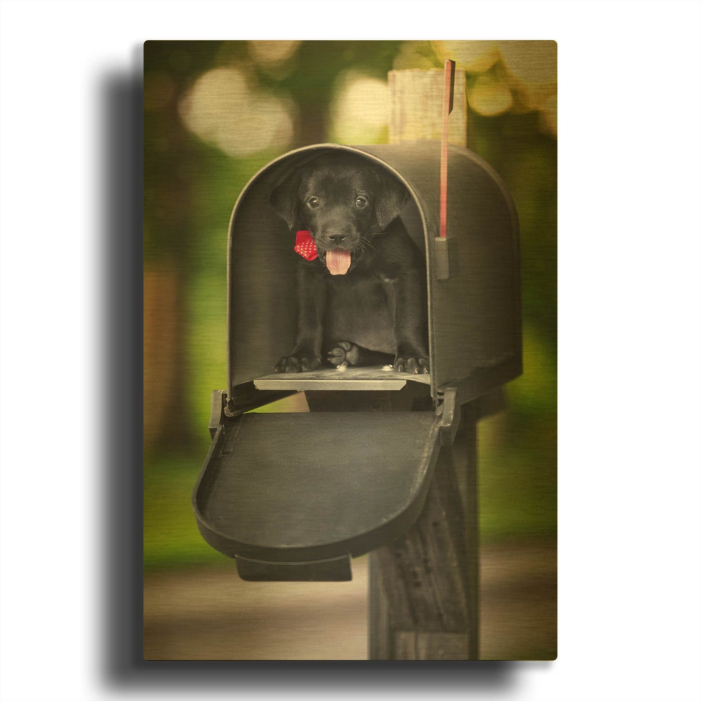 'Black Lab Special Delivery' By Jonathan Ross Gold Metal Wall Art