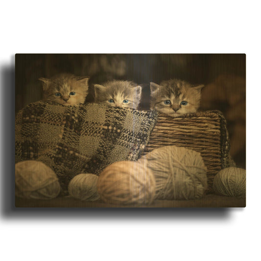 'Kittens In A Basket' By Jonathan Ross Gold Metal Wall Art