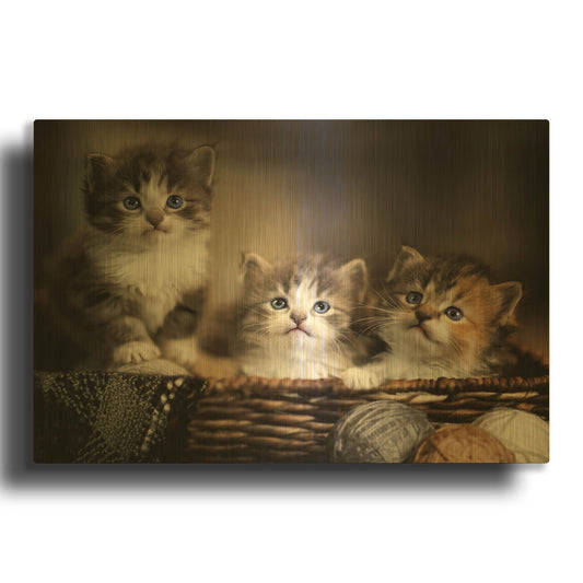 'Three Kittens' By Jonathan Ross Gold Metal Wall Art
