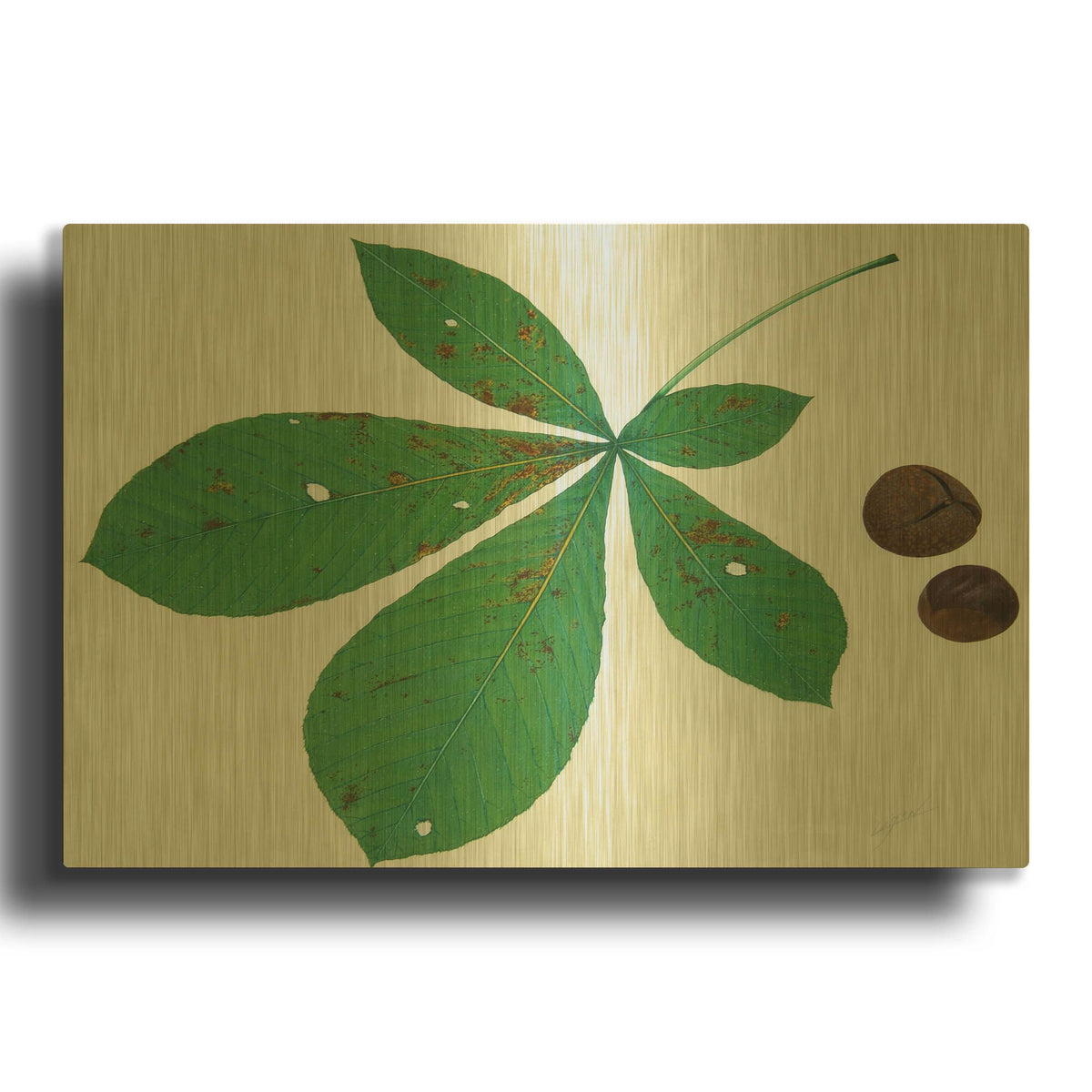 'Horse Chestnut' By Zigen Tanabe Gold Metal Wall Art