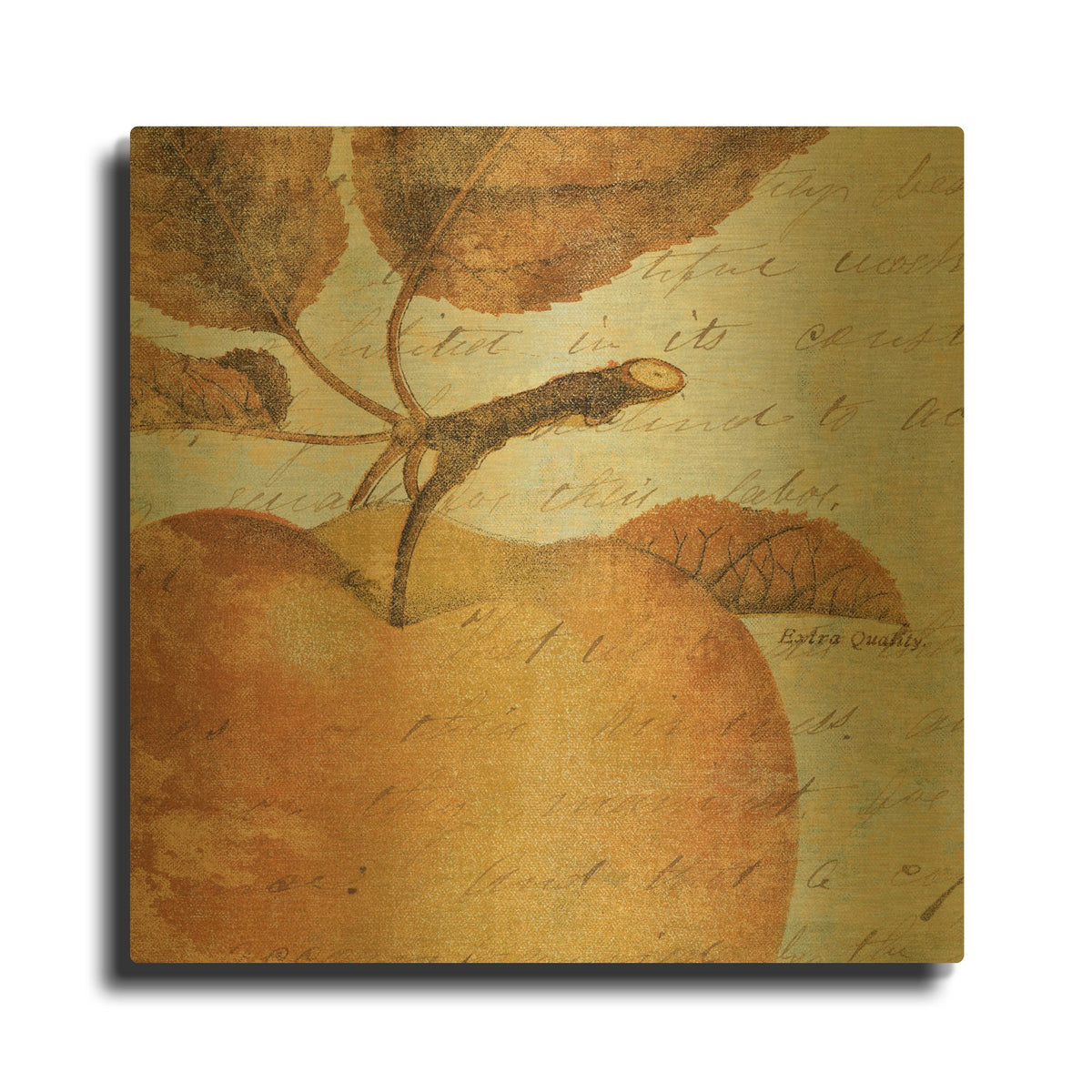 'Joli Fruit I' By NBL Studio Gold Metal Wall Art