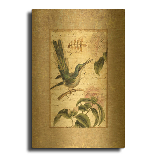 'Collage Naturel II' By NBL Studio Gold Metal Wall Art