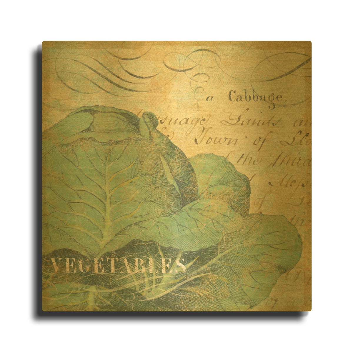 'Veggie II' By NBL Studio Gold Metal Wall Art