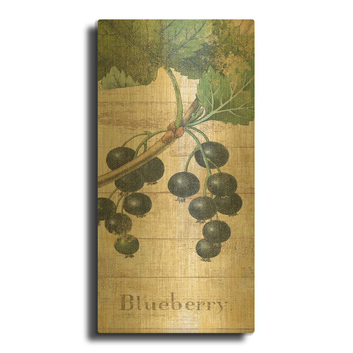'Country Fruits I' By NBL Studio Gold Metal Wall Art