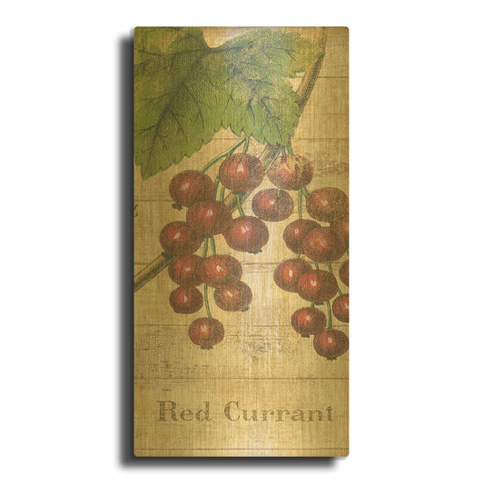 'Country Fruits II' By NBL Studio Gold Metal Wall Art