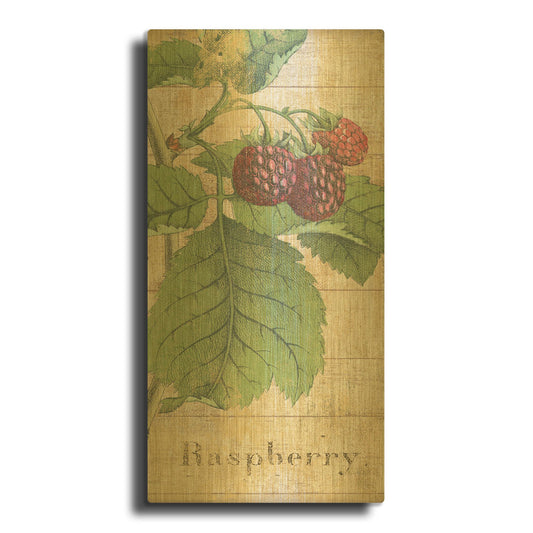 'Country Fruits III' By NBL Studio Gold Metal Wall Art