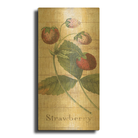 'Country Fruits IV' By NBL Studio Gold Metal Wall Art