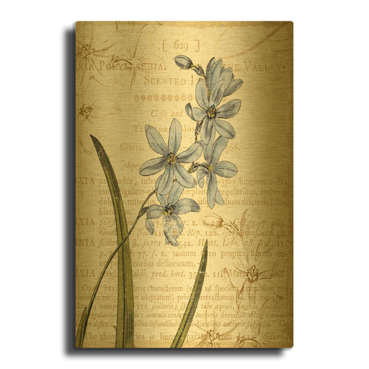'Floral Studies I' By NBL Studio Gold Metal Wall Art