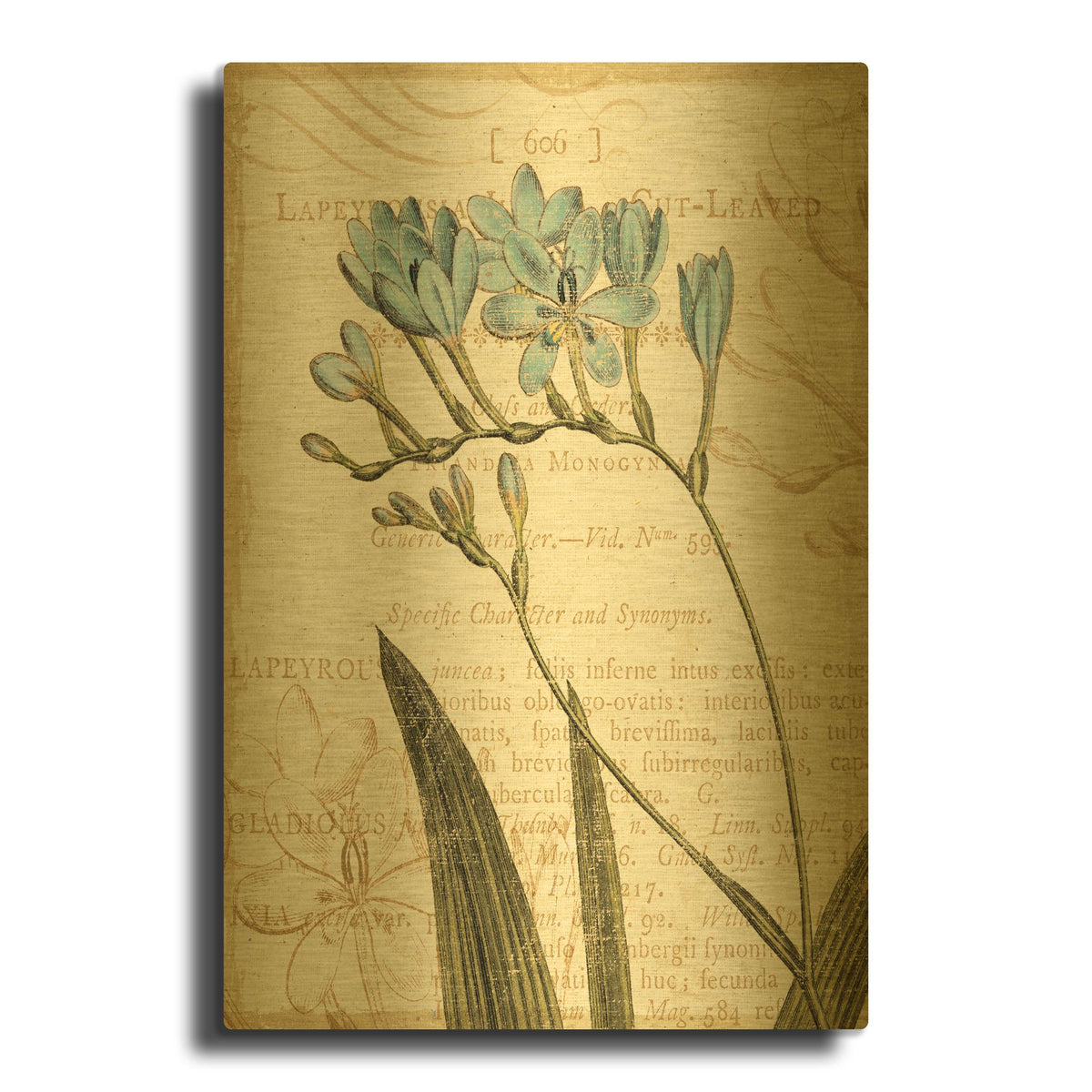 'Floral Studies III' By NBL Studio Gold Metal Wall Art