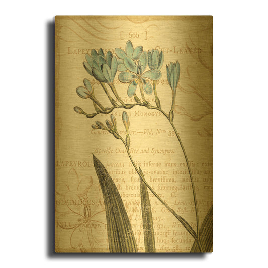 'Floral Studies III' By NBL Studio Gold Metal Wall Art