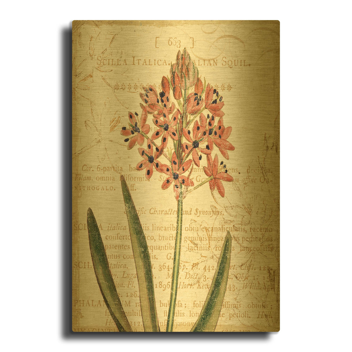 'Floral Studies IV' By NBL Studio Gold Metal Wall Art