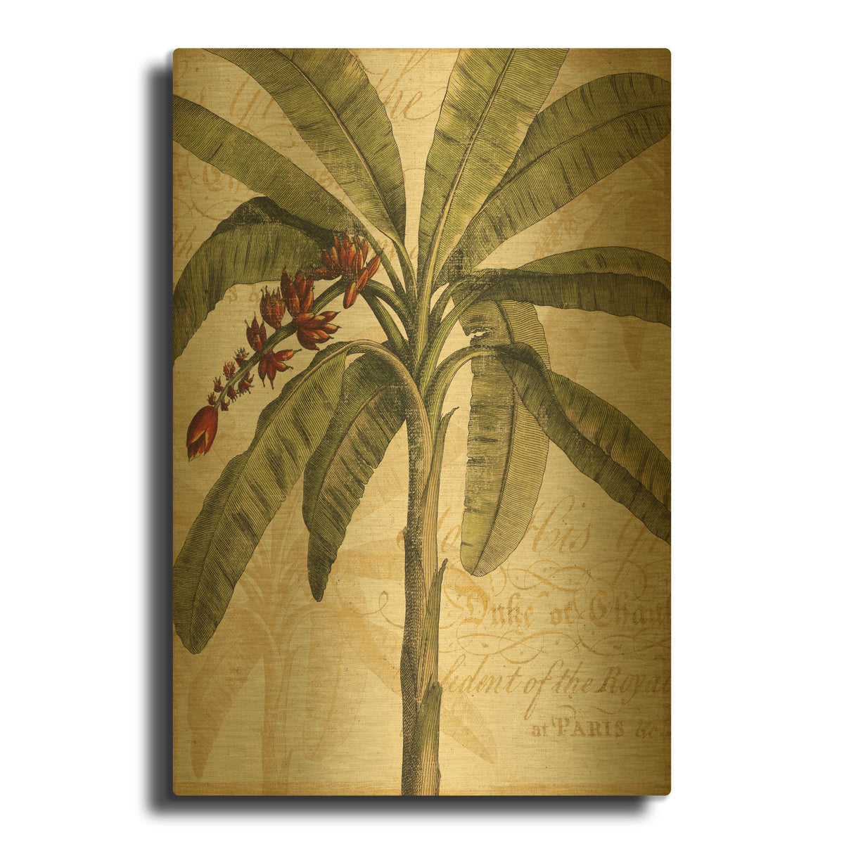 'Royal Palm I' By NBL Studio Gold Metal Wall Art
