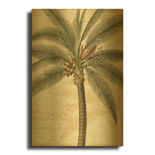 'Royal Palm II' By NBL Studio Gold Metal Wall Art