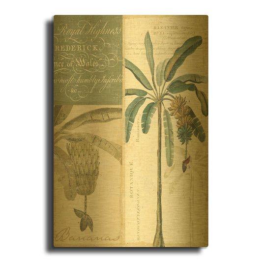 'Palm Study I' By NBL Studio Gold Metal Wall Art