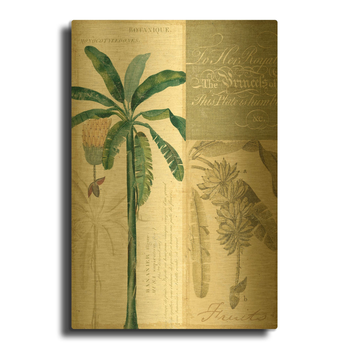 'Palm Study II' By NBL Studio Gold Metal Wall Art