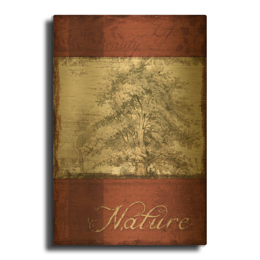 'Natural Thoughts I' By NBL Studio Gold Metal Wall Art