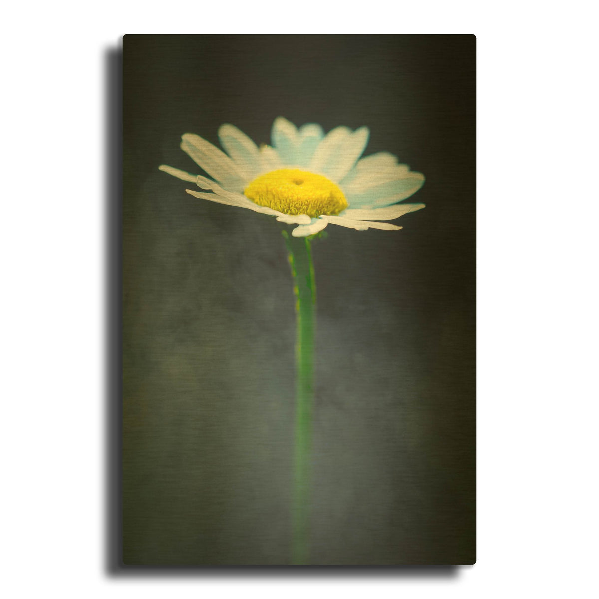 'All By Myself' By Pamela Plummer Gold Metal Wall Art