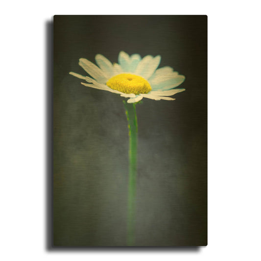 'All By Myself' By Pamela Plummer Gold Metal Wall Art