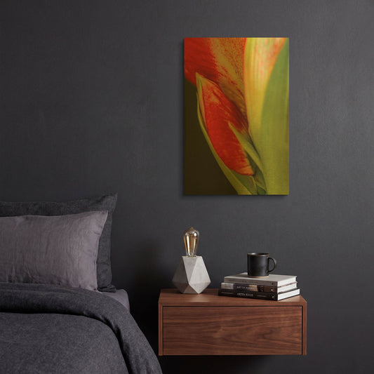 'Amaryllis' By Pamela Plummer Gold Metal Wall Art