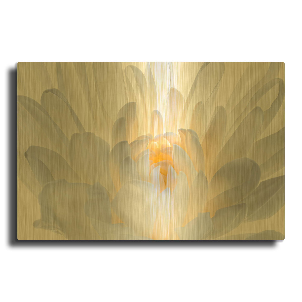 'Angle Wings' By Pamela Plummer Gold Metal Wall Art