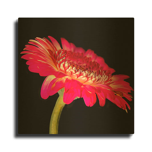 'Awakening' By Pamela Plummer Gold Metal Wall Art