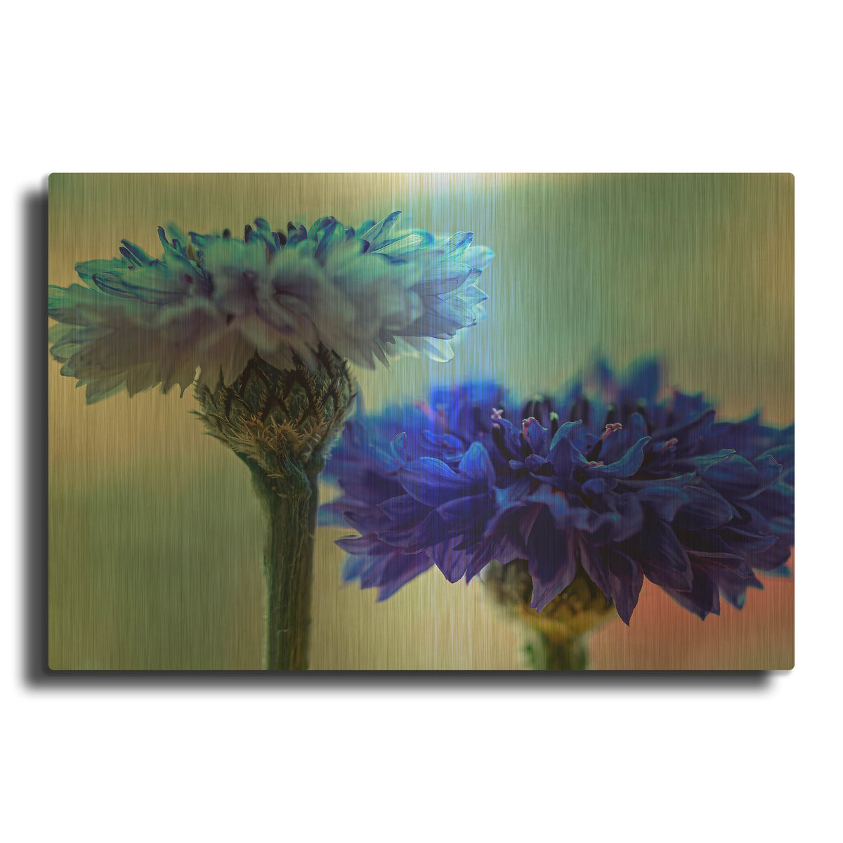 'Bachelor Brothers' By Pamela Plummer Gold Metal Wall Art