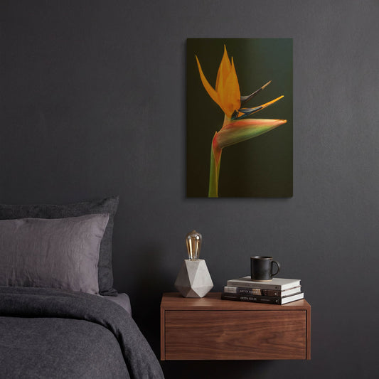 'Bird Of Paradise' By Pamela Plummer Gold Metal Wall Art