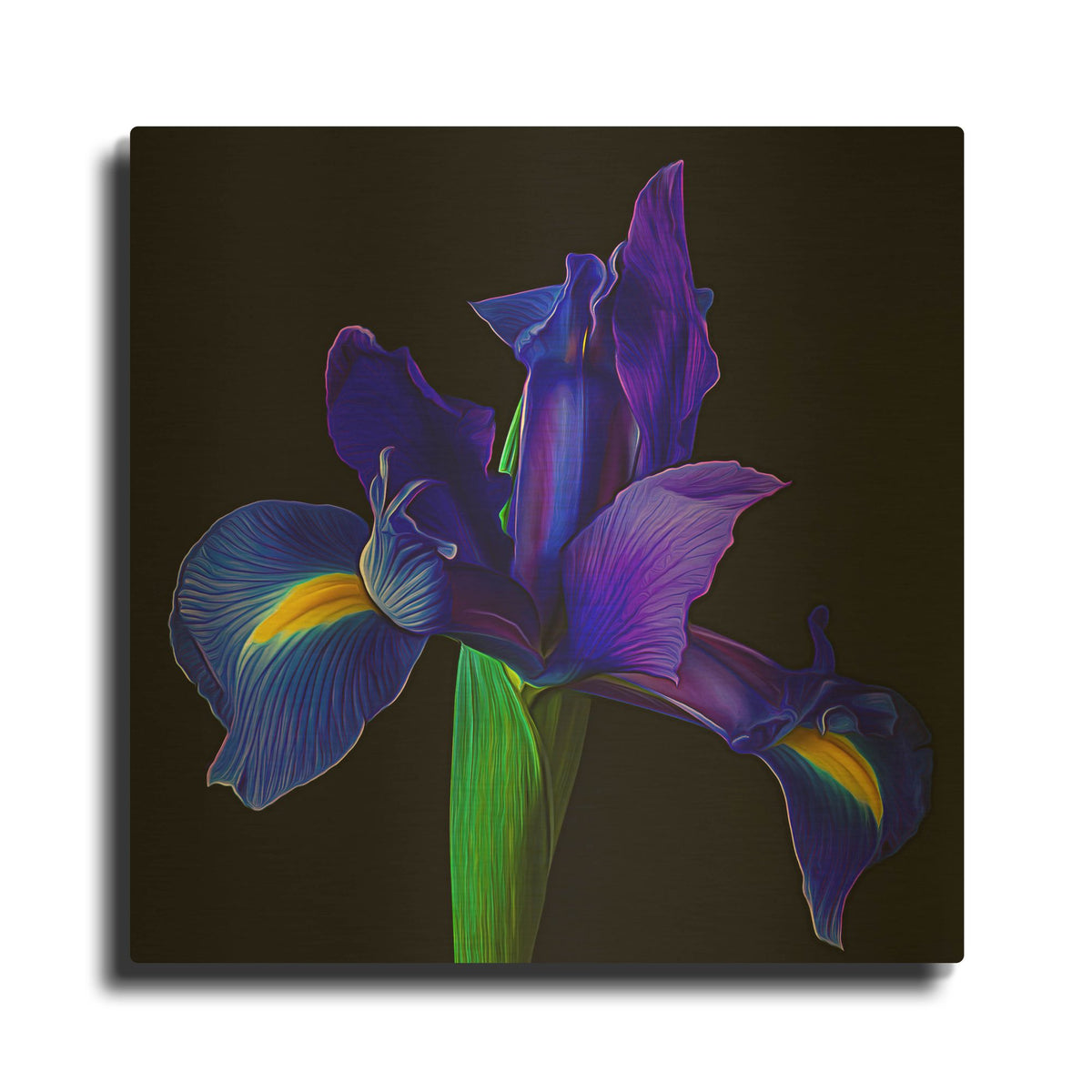 'Blue Iris' By Pamela Plummer Gold Metal Wall Art