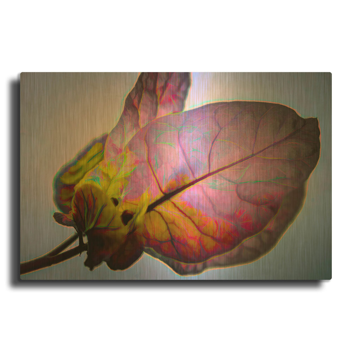 'Bougainvillea Leaf' By Pamela Plummer Gold Metal Wall Art