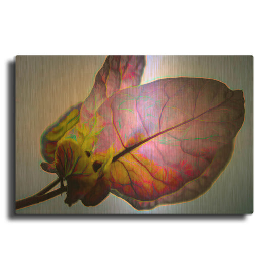 'Bougainvillea Leaf' By Pamela Plummer Gold Metal Wall Art