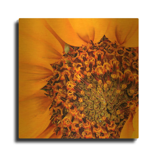 'Closer You Get' By Pamela Plummer Gold Metal Wall Art