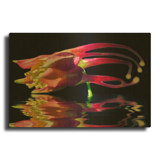 'Columbine Reflection' By Pamela Plummer Gold Metal Wall Art
