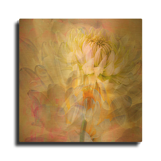 'Cotton Candy' By Pamela Plummer Gold Metal Wall Art